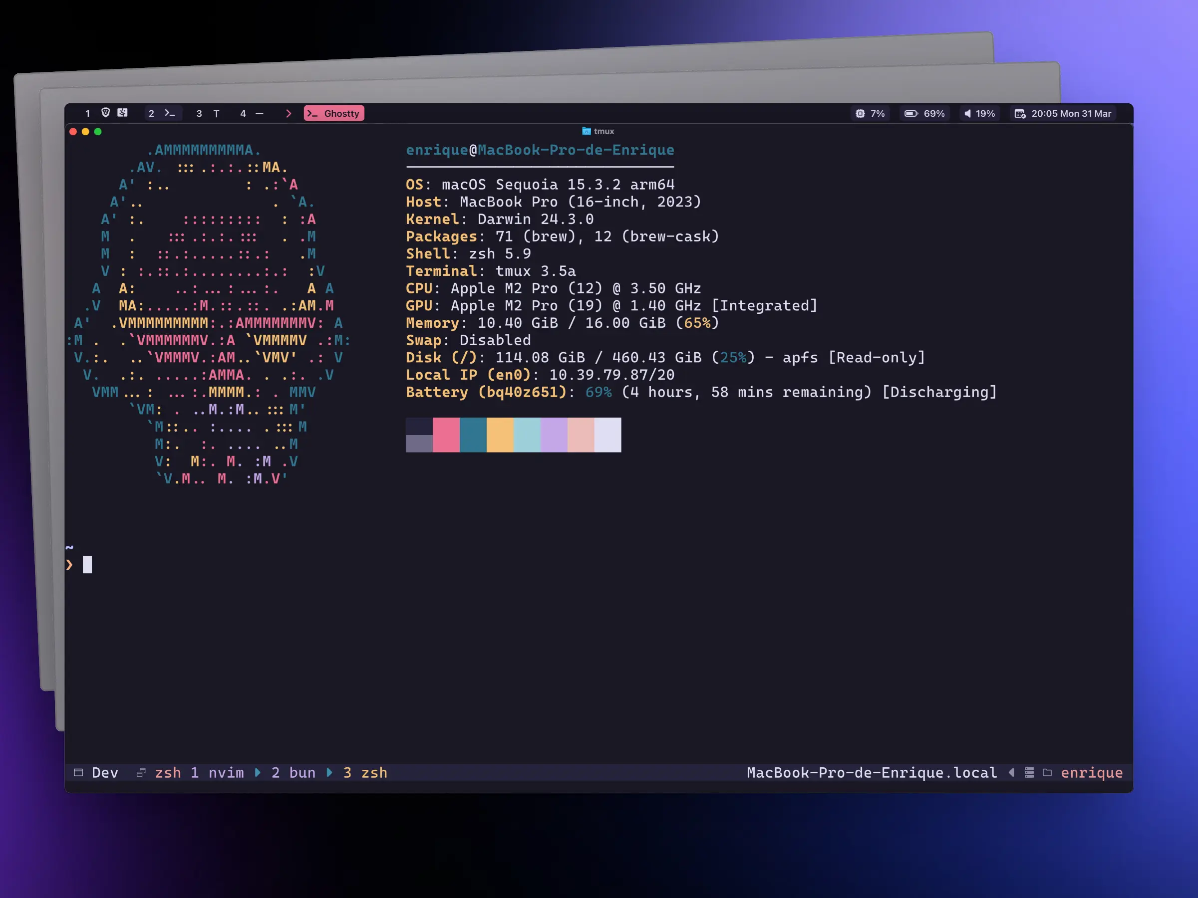 Project .dotfiles screenshot